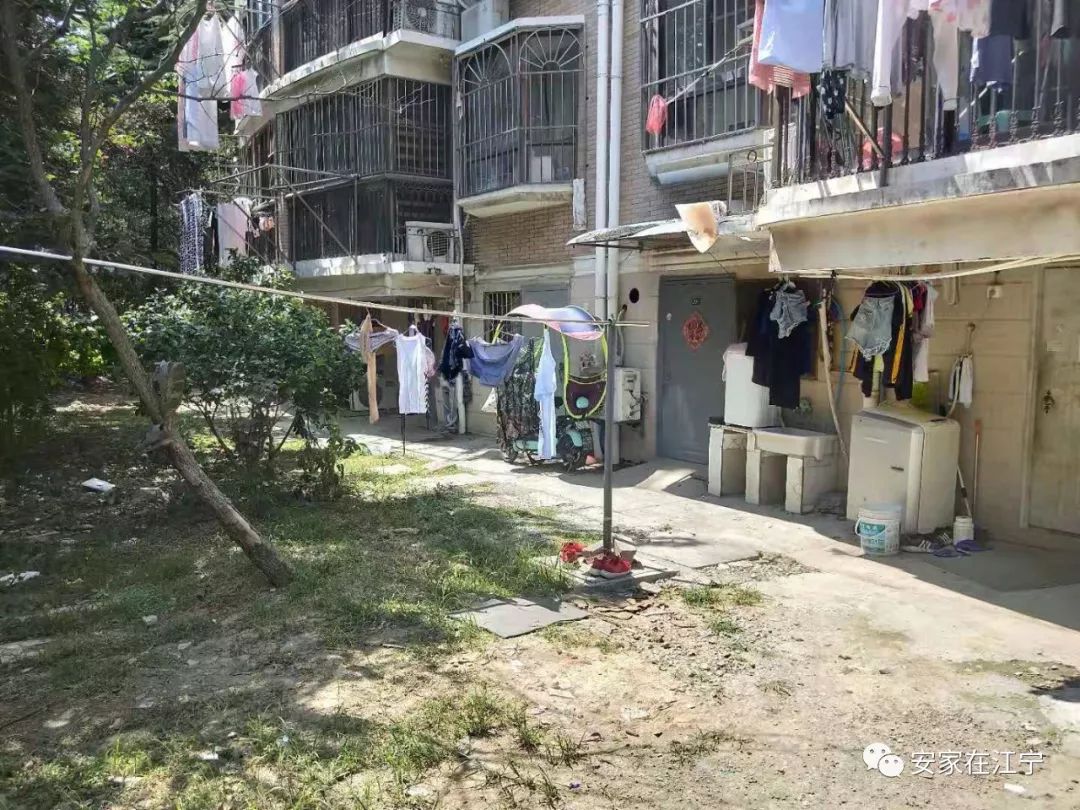 最新大雜亂時(shí)代，混沌與秩序的重建之路