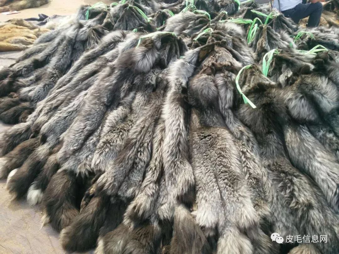 貉皮尚村最新價格，小巷中的時尚皮草寶藏探索