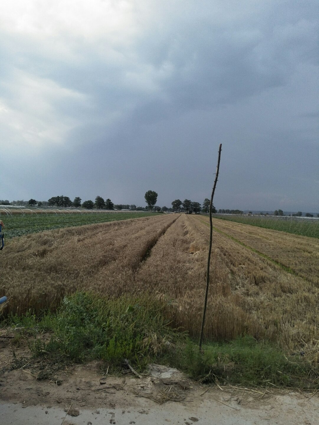 蒲城天氣預(yù)報，暖陽下的友情時光