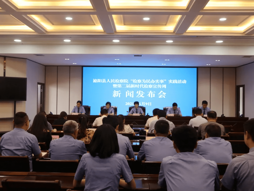 泌陽(yáng)新聞最新動(dòng)態(tài)，多元視角下的觀(guān)察與思考
