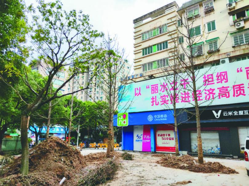 最新吊車(chē)網(wǎng)，自然美景之旅與內(nèi)心平靜的探尋