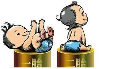 最新雙胞胎補助政策，攜手同行，助力孕育夢想之路