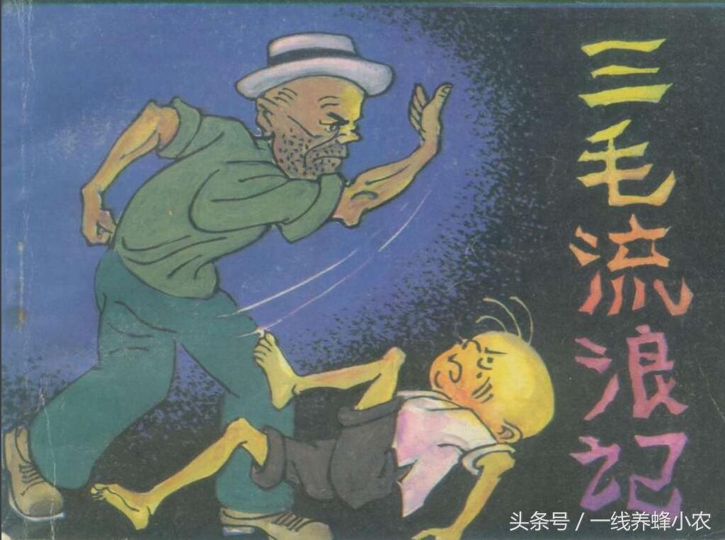 上海三毛最新動(dòng)態(tài)，自然美景探索之旅啟幕