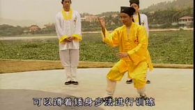 太極最新音樂(lè)，傳統(tǒng)與現(xiàn)代的完美融合藝術(shù)展現(xiàn)