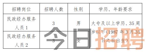 慶陽最新招聘揭秘，小巷中的特色小店，探索未知寶藏的職場之旅