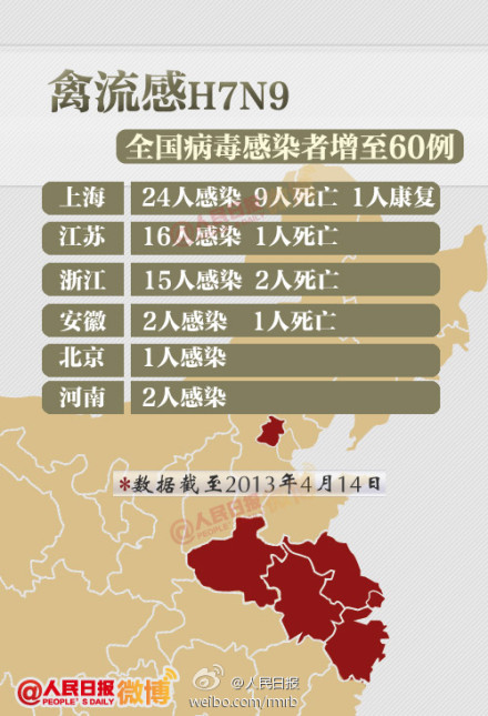 山東禽流感最新動態(tài)，友情與陪伴的溫馨故事