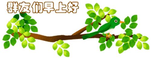 運(yùn)動場館燈具 第95頁
