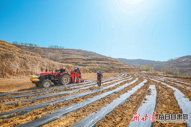 秦安最新新聞，城市溫情日常溫馨小事報(bào)道