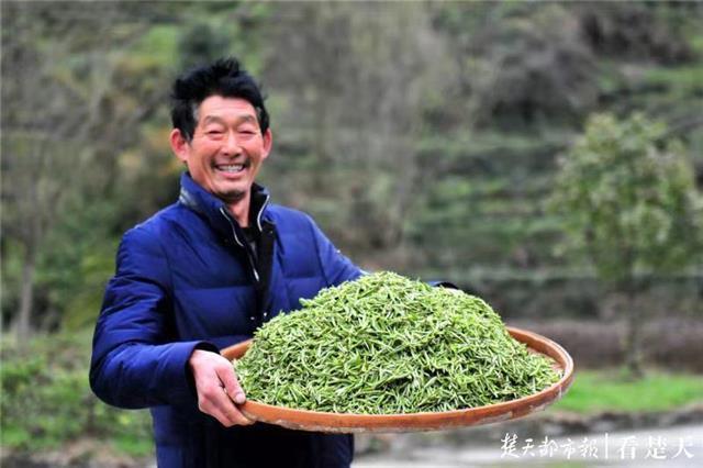 最新夷陵新聞，探索自然美景的旅程，尋覓內(nèi)心平和之地