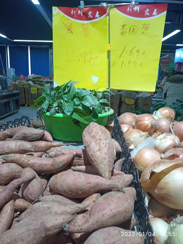 最新地瓜價(jià)格解析，查詢指南與任務(wù)攻略