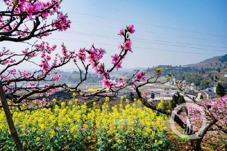 合川最新科技新聞，高科技產(chǎn)品引領未來生活潮流