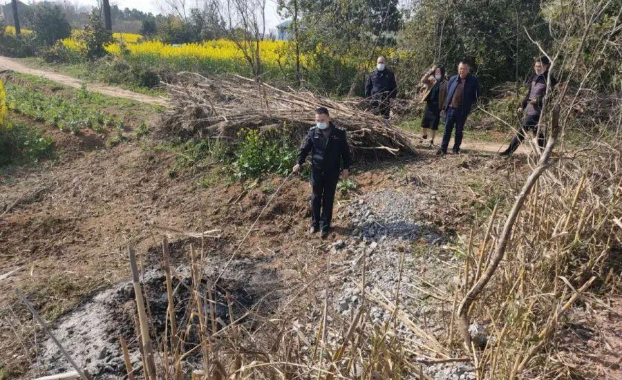 溧陽最新天氣，氣象變遷與地域影響探究