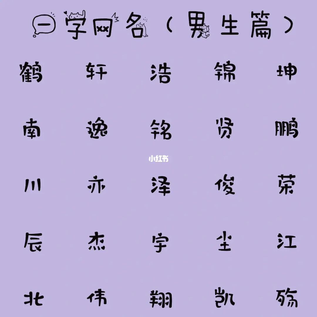 最新男生網(wǎng)名，時(shí)代潮流與虛擬身份的完美融合塑造