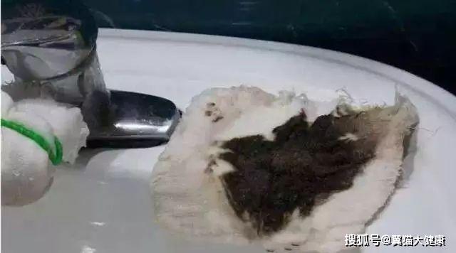 揭秘水污染真相，小杰的河流探索之旅——溫馨河流的秘密揭秘視頻