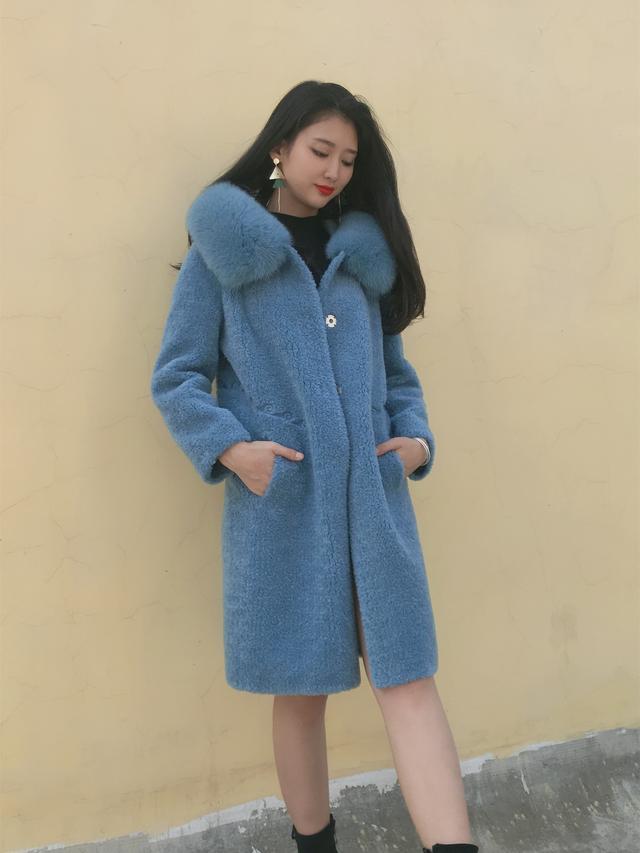 三七花最新價格揭秘，溫馨小故事中的尋找之旅