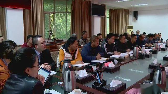 德昌最新新聞，擁抱自然，心靈寧靜之旅啟程
