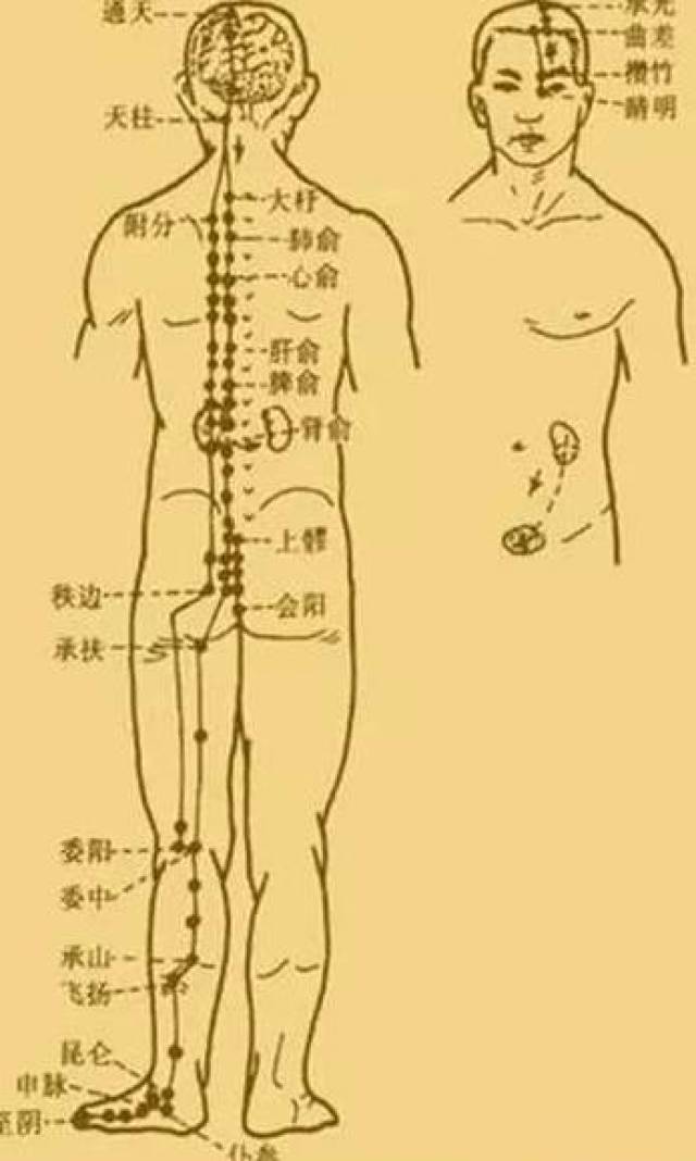 最新經絡操，探索古老奧秘，重塑健康身姿