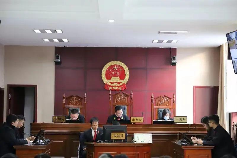 偏關(guān)最新案件深度解析，揭示真相，關(guān)注社會(huì)公正與公平