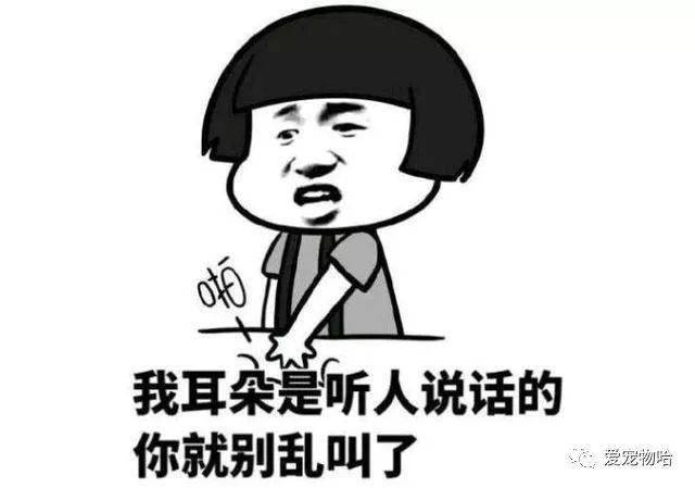 最新枕邊笑話，科技小寶貝，生活添樂趣