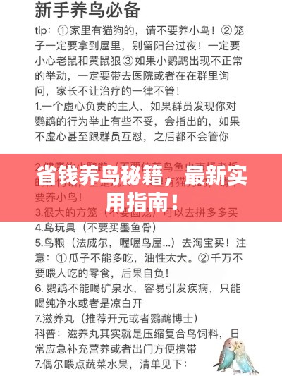 最新養(yǎng)鳥法規(guī)解析，觀點(diǎn)闡述與深度探討