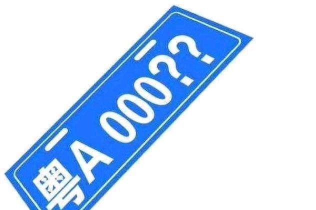 最新拍牌照，一段溫馨有趣的旅程
