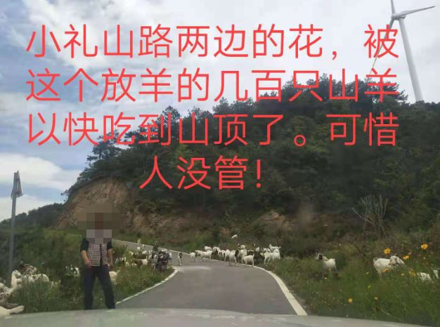 大悟最新路，探索未知，自信成就夢(mèng)想之旅的啟程