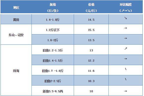 探索海鮮市場秘密，最新鱸魚價格一覽