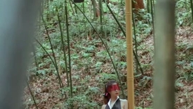 原野小年最新風(fēng)情，小巷深處的獨(dú)特魅力