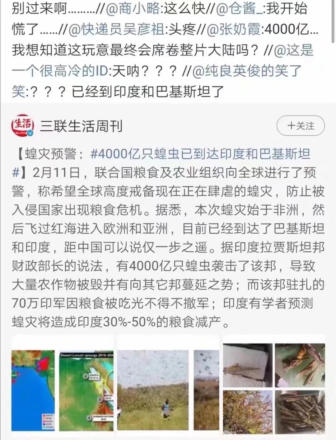 蝗蟲最新動(dòng)態(tài)，防治與監(jiān)測的全面指南