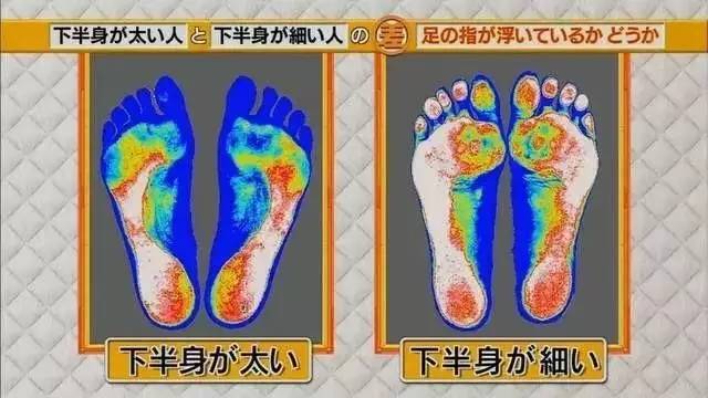 最新地趾論述，探索、爭議與觀點(diǎn)綜述