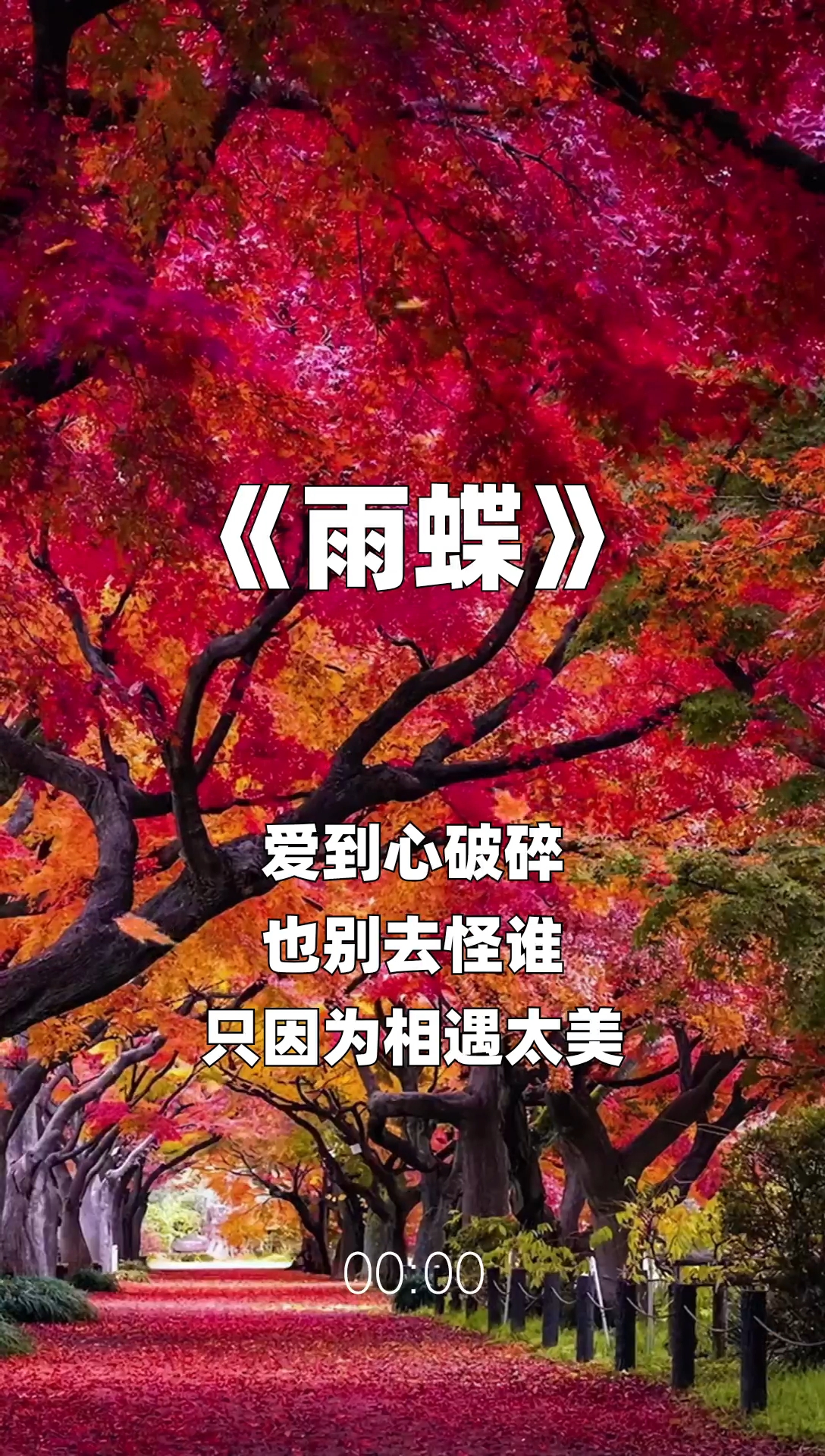 雨蝶最新步驟指南，如何完成任務(wù)或?qū)W習(xí)技能？
