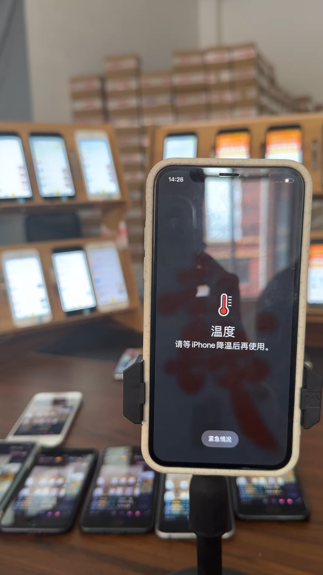 蘋果最新直播，科技與文化的完美融合盛宴