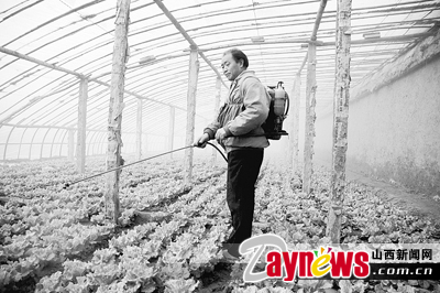 最新農(nóng)藥抽檢結(jié)果出爐，守護(hù)農(nóng)田安全，你我他的共同責(zé)任