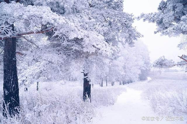 冬日暖陽(yáng)下的溫馨日常，最新冬美文精選