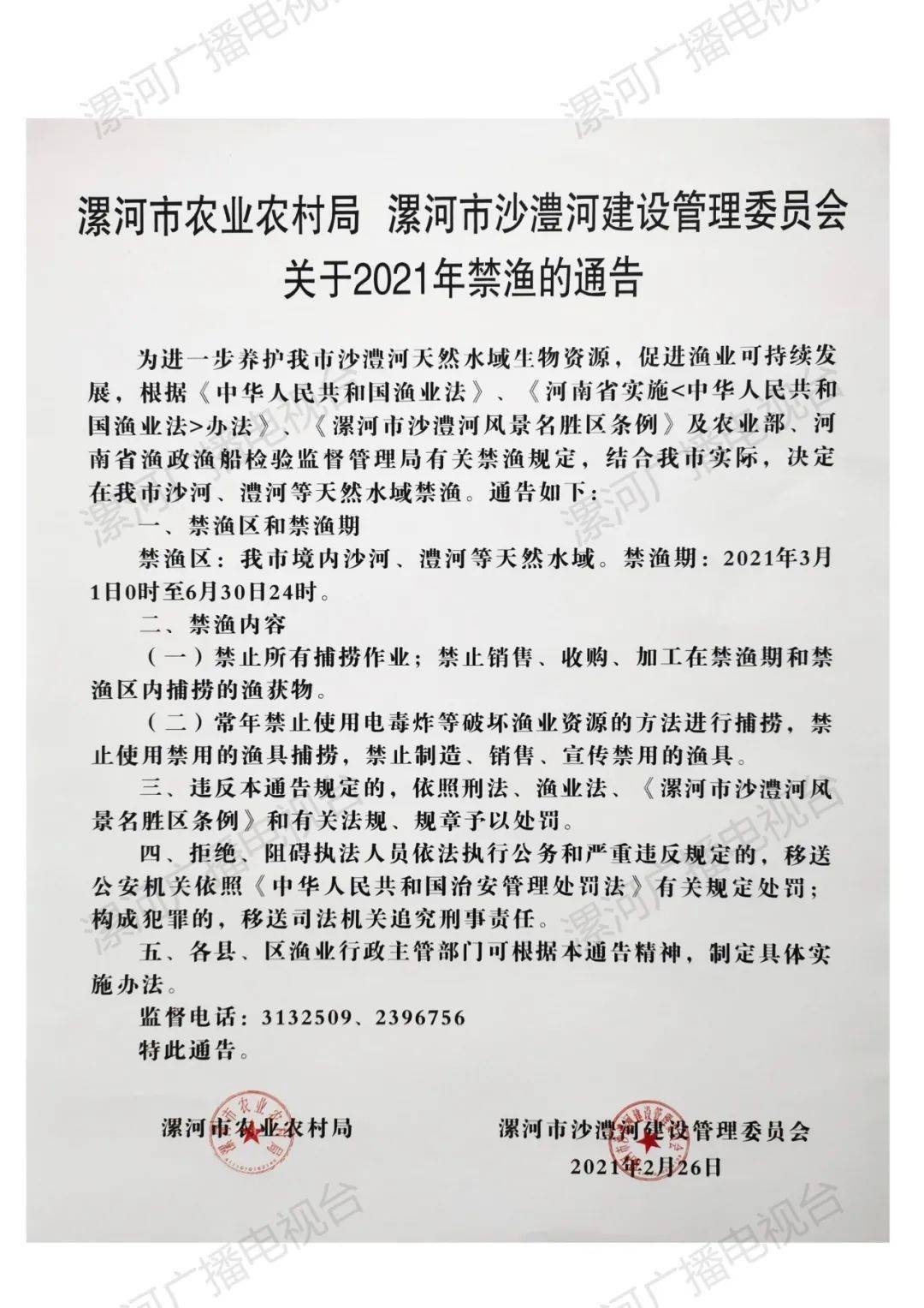 漯河最新通告，探索自然美景，尋覓內(nèi)心寧靜與平和之旅