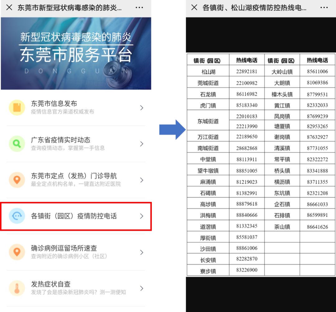 東莞最新疫情狀況，逆風翱翔，用知識守護夢想健康