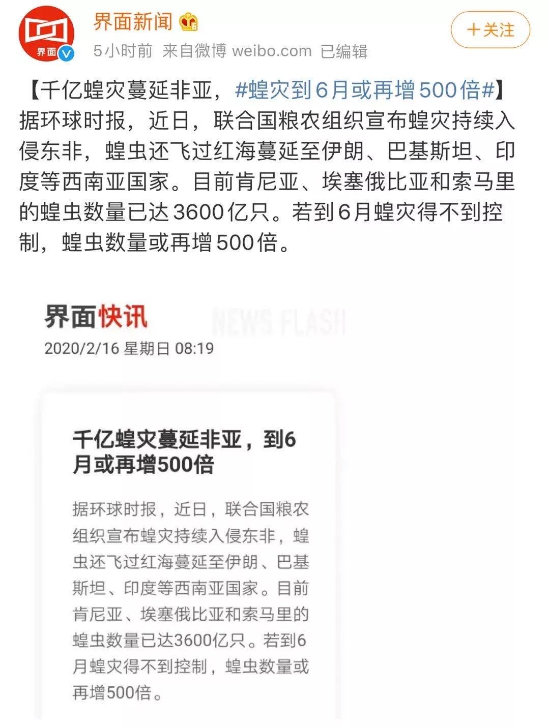 世界蝗災(zāi)最新動(dòng)態(tài)，探索自然美景的輕松之旅