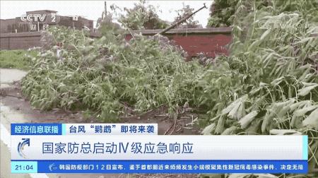 超強臺風鸚鵡來襲，最新路徑動態(tài)全解析???