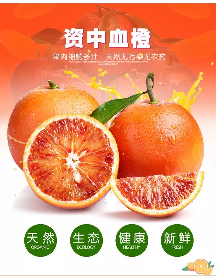 資中血橙，種植、管理與銷售全攻略的最新消息