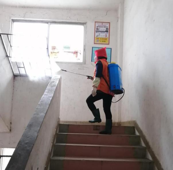 蓬江區(qū)最新高科技住宅，重塑未來生活體驗的首選之地